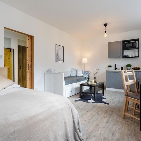 Vlevo Dole Koko Apartment By Sprava Ubytka ロキトニツェ・ナト・イゼロウ エクステリア 写真